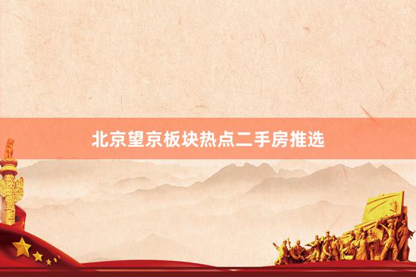 北京望京板块热点二手房推选