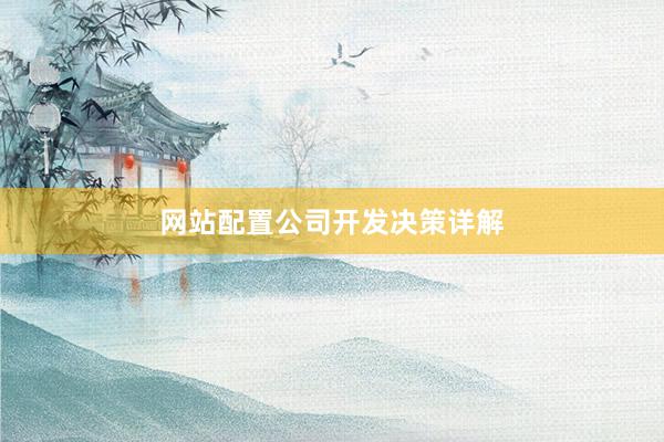 网站配置公司开发决策详解