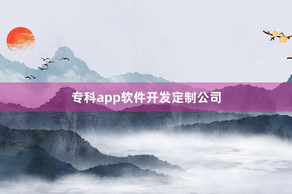 专科app软件开发定制公司