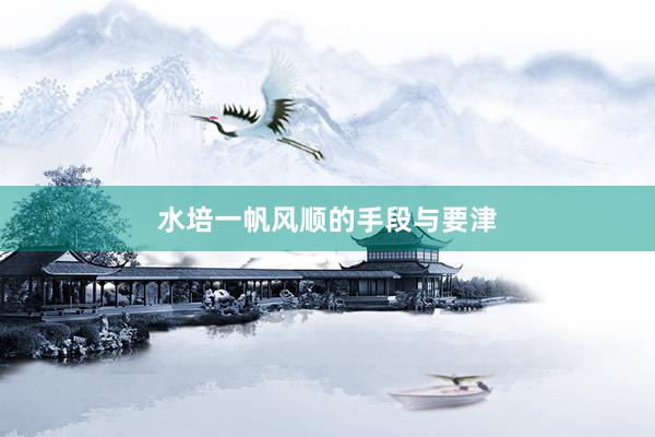 水培一帆风顺的手段与要津